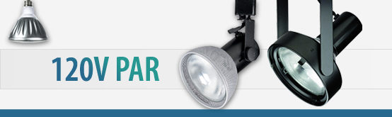 Track Head 120V PAR - Professional Grade