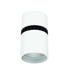 CeilingPendant Mount