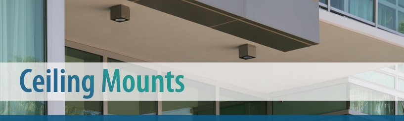 Ceiling Mount