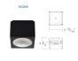 Ceiling Mount Downlight Series