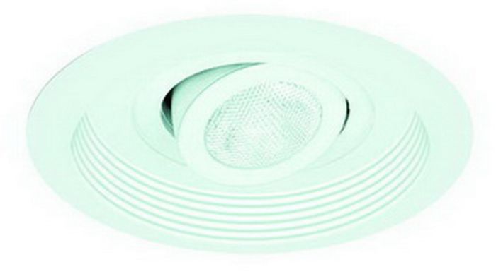 5" Adjustable Spot w/ Baffle