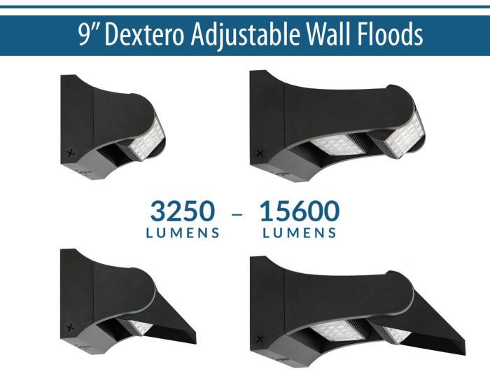 9" Dextero Adjustable Wall Floods