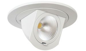 4" 700lm LED Adjustable Pull Down (Dimmable)