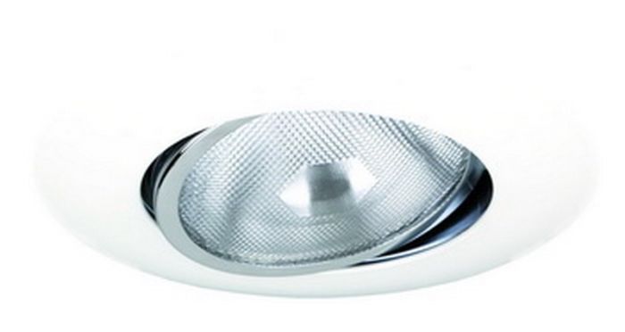 6" PAR38 Gimbal Ring