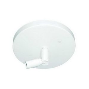 Slope Ceiling Pendant Adapter