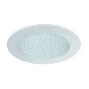 6" CFL/A19 Albalite Lens w/ Reflector