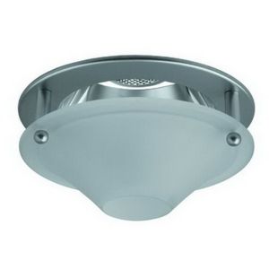 4" PAR20/CFL Deco Glass-Shield (Cone)