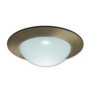 4" MR16 Frosted Glass Dome