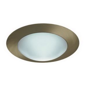 6" CFL Frosted Dome w/ Reflector