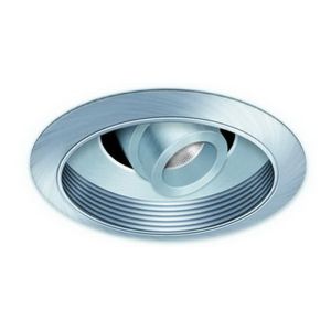 MR16 Adjustable Spot w/ Baffle