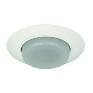 6" CFL Drop Opal Lens w/ Reflector