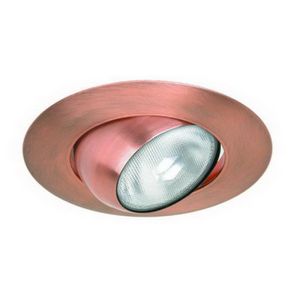 6" PAR30 Adjustable Eyeball