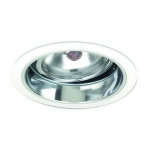 6" Adjustable PAR36 w/ Reflector