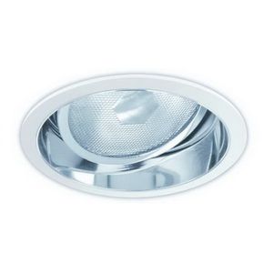 6" PAR30 Adjustable Reflector