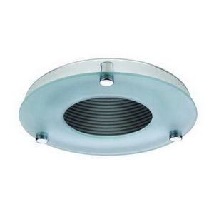6" PAR30/A19 Deco Glass Baffle