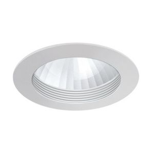 4" PAR20/HID/CFL/A19 Baffle w/ Lens