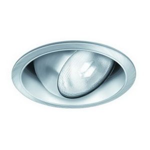 6" PAR30 Regressed Eyeball w/ Reflector