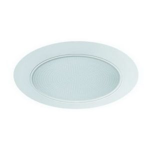 5" PAR30/A19 Albalite Shower Trim