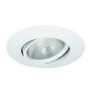 5" PAR30 Adjustable Gimbal