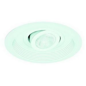 5" Adjustable Spot w/ Baffle