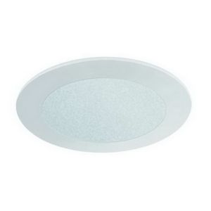 4" MR16 Frosted Glass
