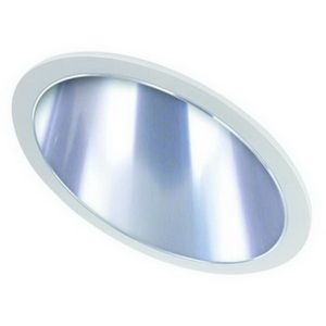6" PAR30/CFL Sloped Reflector