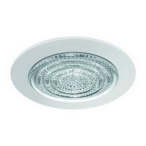 4" PAR20/CFL Trim/ Fresnel Lens