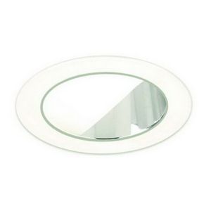 4" PAR20/CFL Eyelid Wall Wash w/ Reflector