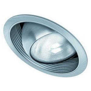 6" PAR30 Sloped Eyeball w/ Baffle