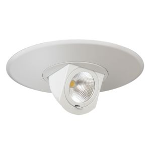 6" LED Adjustable Pull Down (Dimmable)
