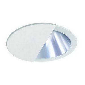 6" PAR20/CFL/A19 Wall Wash w/ Reflector