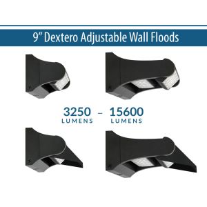 9" Dextero Adjustable Wall Floods