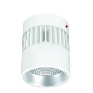 6" Lumen Cannon LED Surface Mount Integral Emergency 1100-3700lm (25W-44W)