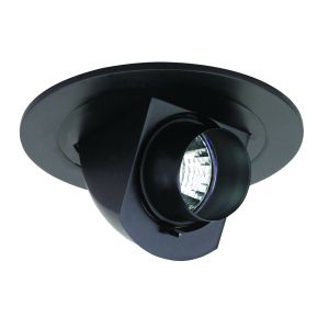 4" MR16 Adjustable Pull Down w/ Snoot