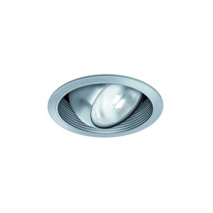 6" PAR30 Regressed Eyeball w/ Baffle