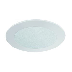 4" FROSTED GLASS (480lm)