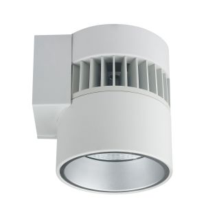 6" Wall Mount Lumen Cannon