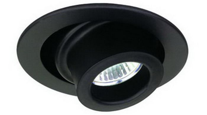 4" MR16 Adjustable Spot