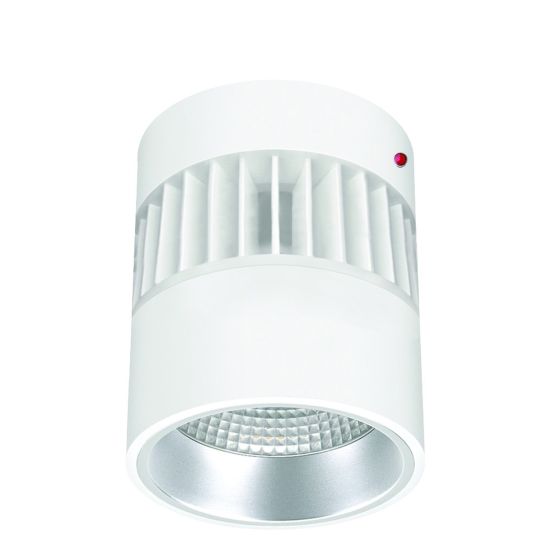 6" Lumen Cannon LED Surface Mount Integral Emergency 1100-3700lm (25W-44W)