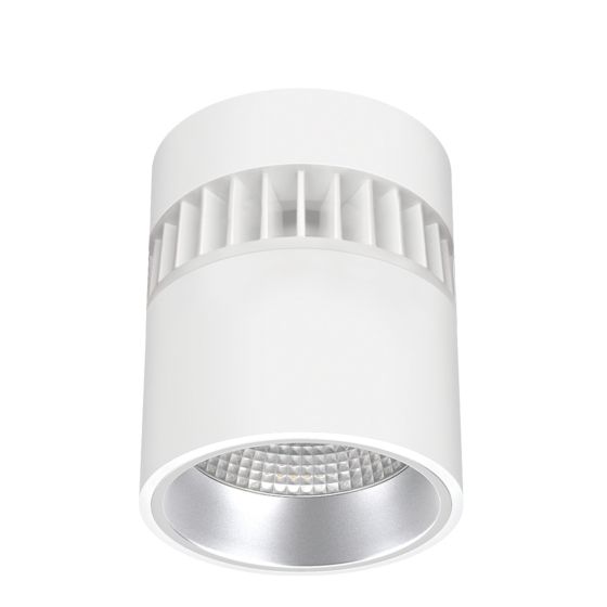 6" Lumen Cannon LED Pendant/Ceiling Mount 1100-6000lm (25W-63W)