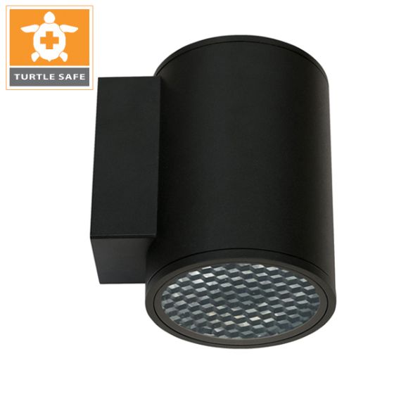 6" Round 1-Direction Wall Mount (IP65) - Amber (Turtle Safe)