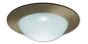4" MR16 Frosted Glass Dome