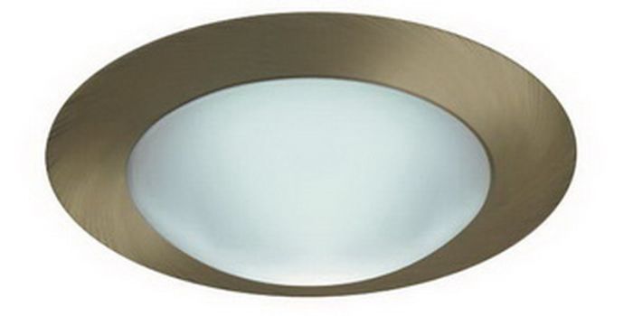 6" PAR20/CFL/A19 Frosted Dome w/ Reflector
