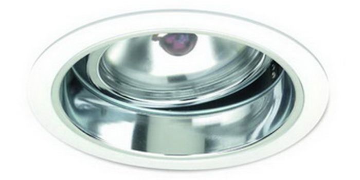 6" Adjustable PAR36 w/ Reflector