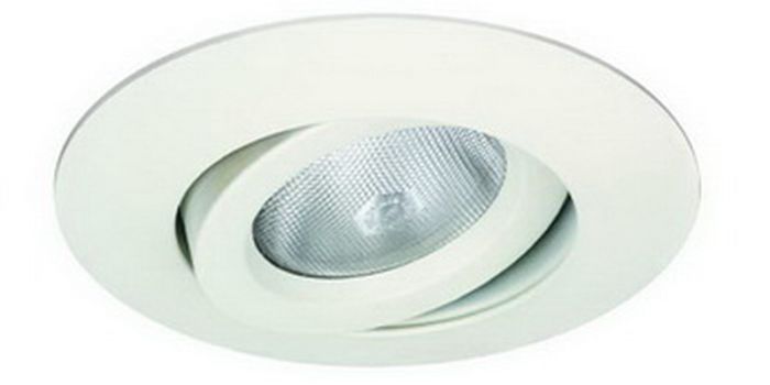 6" PAR30/HID Gimbal Ring