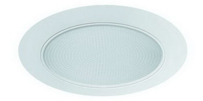 5" PAR30/A19 Albalite Shower Trim