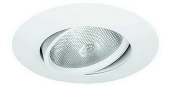 5" PAR30 Adjustable Gimbal