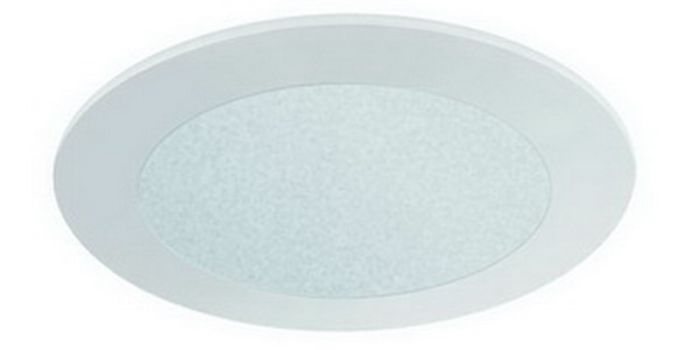4" MR16 Frosted Glass