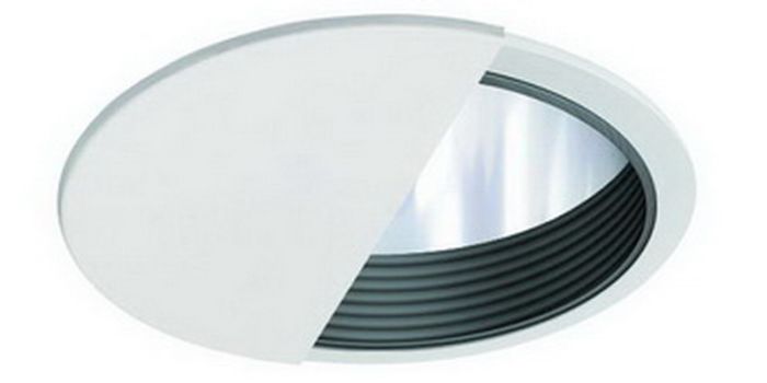 6" PAR20/CFL/A19 Wall Wash w/ Reflector Baffle