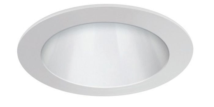 4" Reflector (700lm/1000lm)